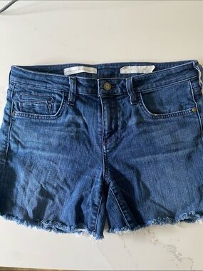 Pilcro and the Letterpress STET jean Denim Cutoff Shorts 28